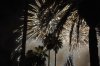 Frozen Fireworks.jpg