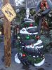 DSC02793small.jpg