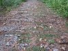 IMG_0054.JPG