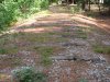 IMG_0053.JPG