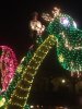 IMG_3281.jpg