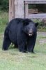 DSC02926_Small.jpg