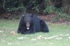 DSC09058_Small.jpg