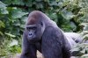 DSC03239_Small.jpg