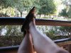 IMG_0101.JPG