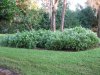 IMG_0077.JPG