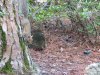 IMG_0126.JPG