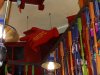 DSC04286 (800x600).jpg