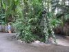 DSC04295 (800x600).jpg