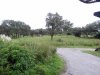 DSC04317 (800x600).jpg