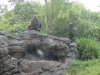 DSC04368 (800x600).jpg