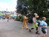 DSC04427 (800x600).jpg