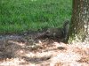 IMG_0062.JPG