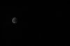 DSC_8458 (Small).JPG