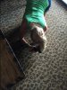 IMG_6205 (Custom).jpeg