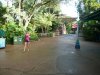 P1090191.JPG