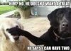 treats.jpg