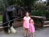 20151016_174732.jpg