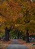 DSC_0205_7549a.jpg