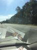 dis florida.jpg dis florida.jpg