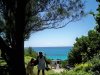 100_2694.jpg