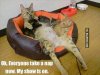 funny-cat-naps-meme.jpg