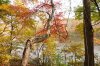 DSCN4004.jpg