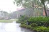 Poly downpour.jpg