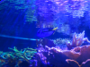 upload_2015-10-24_19-43-32.png