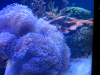 upload_2015-10-24_19-43-46.png