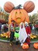 IMG_6838.jpeg