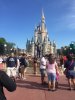 IMG_0211.jpg