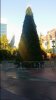 20151026_073619.jpg