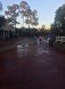 FRUITS OF ROPE DROP.jpg