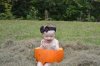 brooke6months2.jpg