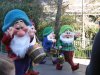IMG_7373.JPG
