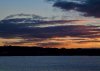 DSC_0230_7574a.jpg