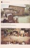 Knott's-pg7.jpg
