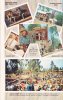 Knott's-pg11.jpg