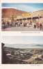 Knott's-pg15.jpg