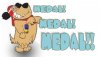 medal.jpg