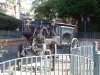 DSC04756 (800x600).jpg