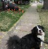Zoe and spider.jpg