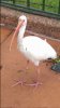 WP_20151028_019.jpg