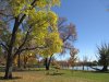 fall.jpg