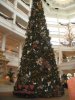 IMG_4804.JPG