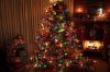 IMG_5760 (1280x853).jpg