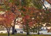 CharlesFall15_8326a.jpg