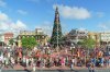 MK Christmas Tree-TS 800.jpg