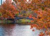 CharlesFall15_8321a.jpg